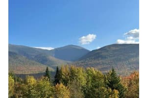 00 Us Rte 2 Other, FL 03593 - MLS#F10501361