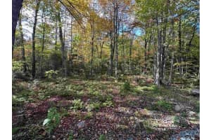 00 Us Rte 2 Other, FL 03593 - MLS#F10501361