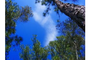 1248 Cordoba Street, Lehigh Acres, FL 33974 - MLS#F10501400