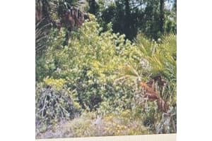 1812 Moore Ave, Lehigh Acres, FL 33972 Sold 10/03/25