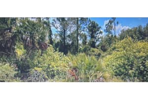 1812 Moore Ave, Lehigh Acres, FL 33972 Sold 10/03/25