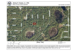 LOT NE 113 AVE, Fort Mc Coy, FL 32134 - MLS#F10505191