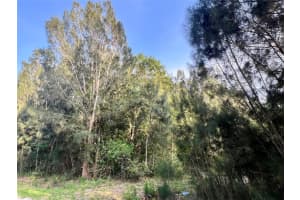 10128 NE 20th Ln, Okeechobee, FL 34974 Sold 03/24/26