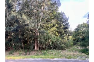 10128 NE 20th Ln, Okeechobee, FL 34974 Sold 03/24/26