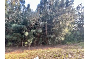 10128 NE 20th Ln, Okeechobee, FL 34974 Sold 03/24/26