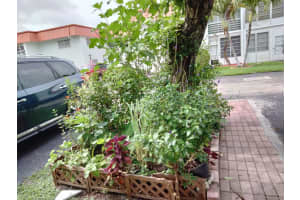 2251 NW 48th Ter 104, Lauderhill, FL 33313 Sold 10/31/25