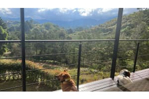 Via Santuario, Guamito El Penol, Medellin, Colombia Other, FL Medellin - MLS#F10505979