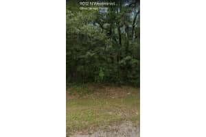 9012 N Westminister Ave, Citrus Springs, FL 34434 Sold 10/01/25