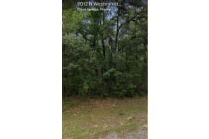 9012 N Westminister Ave, Citrus Springs, FL 34434 Sold 10/01/25