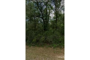 9012 N Westminister Ave, Citrus Springs, FL 34434 Sold 10/01/25