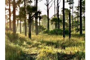 15355 93rd St, Fellsmere, FL 32948 Sold 12/10/25