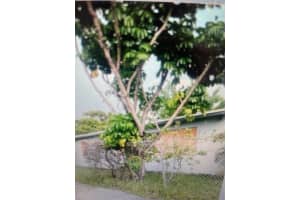 901 24th Avenue, Fort Lauderdale, FL 33311 - MLS#F10507073