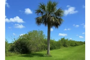 6617 26th Trail, Okeechobee, FL 34974 - MLS#F10507198