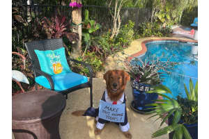 1990 Lakeshore Dr, Weston, FL 33326 Sold 08/14/25