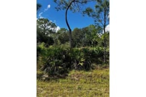 1221 Hamilton Avenue, Lehigh Acres, FL 33972 - MLS#F10514405