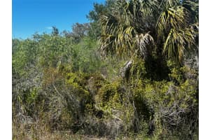 19093 NW 302nd St, Okeechobee, FL 34972 Sold 08/28/25