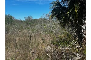 19093 NW 302nd St, Okeechobee, FL 34972 Sold 08/28/25