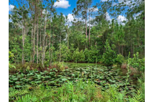 18 Disney Blvd, Avon Park, FL 33825 Sold 09/26/25