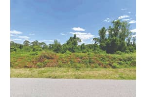 449 Hallmark Ave, Lake Placid, FL 33852 - MLS#F10517502