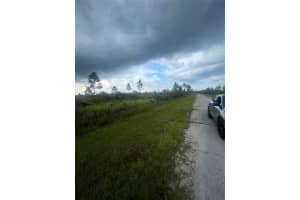 29-31-24-993285-000140 P Heron Court, Indian Lake Estates, FL 33843 - MLS#F10518120
