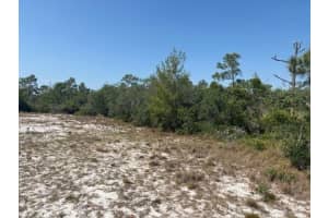 314 Falcon Street, Lake Placid, FL 33852 - MLS#F10519815