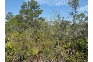 314 Falcon Street, Lake Placid, FL 33852 - MLS#F10519815