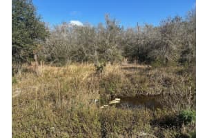 19079 NW 240th St, Okeechobee, FL 34972 Sold 09/04/25