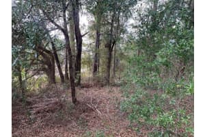 0 SW 30th place, Ocala, FL 34481 Sold 09/16/25