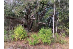 0 SW 30th place, Ocala, FL 34481 Sold 09/16/25