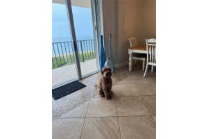 1900 S Ocean Blvd 5f, Pompano Beach