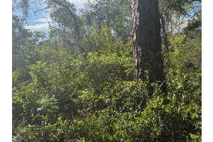 229 Caswell Lane, Lake Placid, FL 33852 - MLS#F10520729