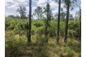 0 W Dixon Rd, Avon Park, FL 33825 Sold 08/27/25
