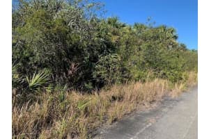0 SW Ginryo rd, Palm Bay, FL 32908 - MLS#F10522739