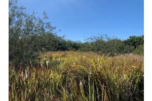 0 SW Ginryo rd, Palm Bay, FL 32908 - MLS#F10522739