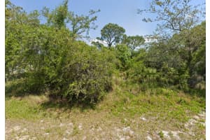 249 Grape Rd, Lake Placid, FL 33852 Sold 12/30/25