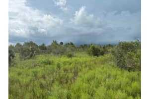 0 316th Street, Okeechobee, FL 34972 Sold 02/26/26