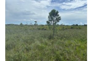 0 308th Street, Okeechobee, FL 34972 - MLS#F10523626