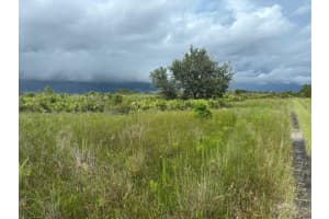 0 312th Street, Okeechobee, FL 34972 - MLS#F10523638