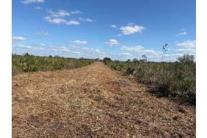 0 316th Street, Okeechobee, FL 34972 - MLS#F10523825