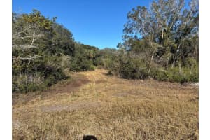 0 296th Street, Okeechobee, FL 34972 - MLS#F10523860