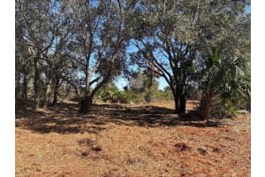 0 304th Street, Okeechobee, FL 34972 - MLS#F10524014