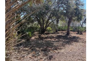 0 304th Street, Okeechobee, FL 34972 - MLS#F10524014