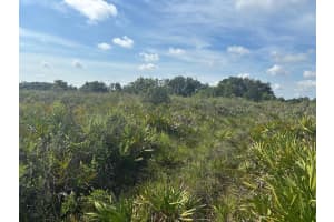 0 310th Street, Okeechobee, FL 34972 - MLS#F10524021