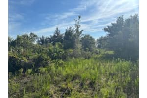 0 304th Street, Okeechobee, FL 34972 - MLS#F10524042