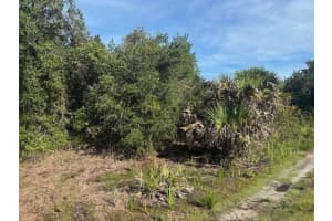 0 304th Street, Okeechobee, FL 34972 - MLS#F10524042