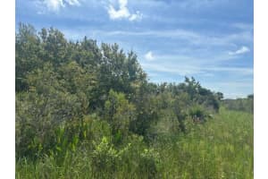 0 318th Street, Okeechobee, FL 34972 - MLS#F10524052