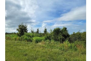 17275 260th Street, Okeechobee, FL 34972 - MLS#F10524499