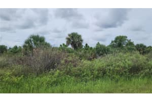 14988 316th Street, Okeechobee, FL 34972 - MLS#F10525445