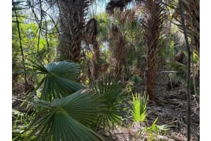 3223 SW Mockingbird Ave, Palm Bay, FL 32908 - MLS#F10525758
