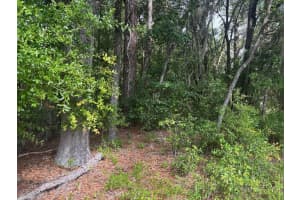 0 30th Place, Ocala, FL 34481 Sold 03/10/26